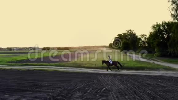 春天日落时分女人骑着一匹棕色的马在乡间的田野里飞驰年轻女子骑着海湾马鸟儿视频的预览图