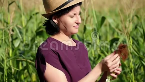 一个女农民站在玉米地里检查收获的质量农业和收获的概念视频的预览图