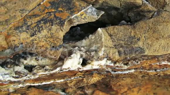 在海角的石灰石岩石层视频的预览图