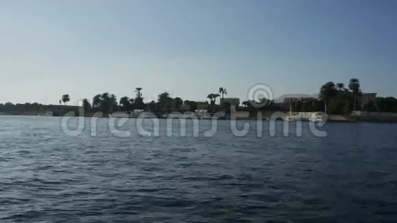棕榈海岸景观视频的预览图