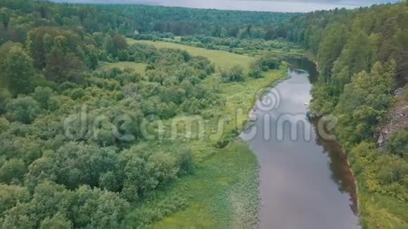 美丽的俄罗斯河景近绿色的草地覆盖着灌木花草和树木森林在多云的天空中视频的预览图