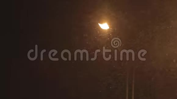 街灯下的雪视频的预览图