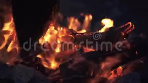 令人惊叹的篝火快到了晚上在森林里小心翼翼地烧柴火视频的预览图
