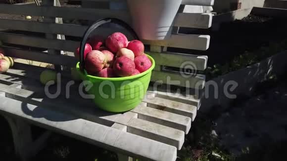 站在塑料长凳上的桶里的鲜红色苹果视频的预览图