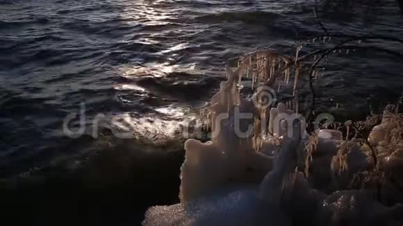 贝加尔湖岸边树枝上的冰柱视频的预览图