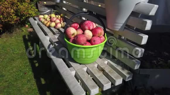 站在塑料长凳上的桶里的鲜红色苹果视频的预览图