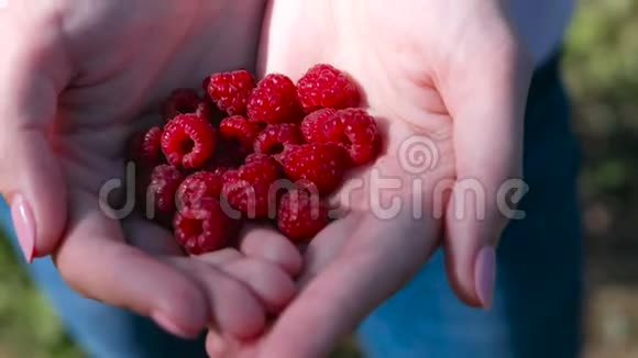 女人手里拿着大红树莓视频的预览图