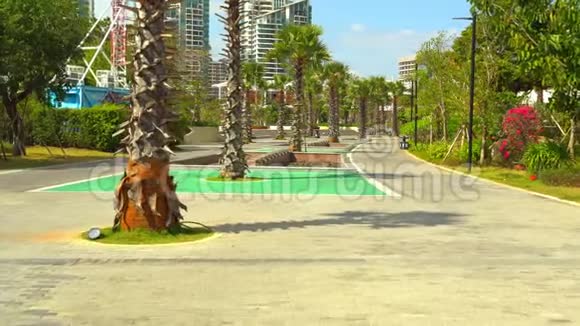 海南岛人行道上的外来树木视频的预览图