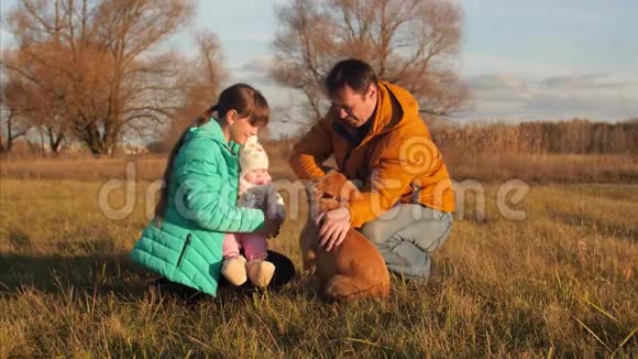 孩子们和爸爸在秋天的田野上抚摸和玩狗视频的预览图