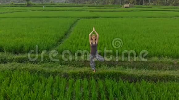 日出日落时分一名女子在奇妙的稻田上练习瑜伽视频的预览图