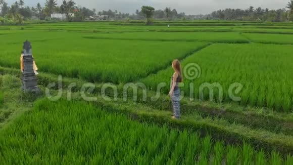 日出日落时分一名女子在奇妙的稻田上练习瑜伽视频的预览图
