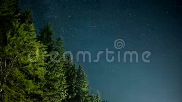 夜空中有星星在森林之上视频的预览图