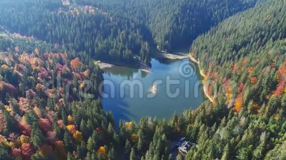 带树影的蓝色平静的山湖视频的预览图