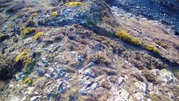 空中盘旋在悬崖和海洋在布列塔尼高清镜头版本上面的彩色荒原岩石珊瑚礁跟踪在奥弗海视频的预览图