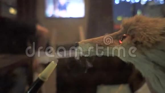 狐狸在酒吧里抽烟视频的预览图
