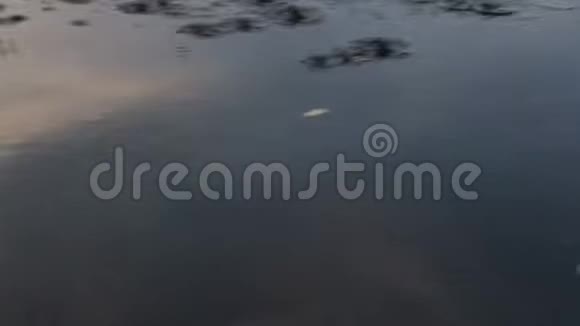 划桨在水面上视频的预览图