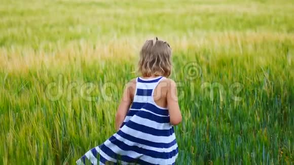 小女孩在田野里捉蚱蜢或蝴蝶视频的预览图