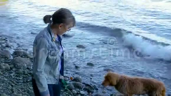 一个年长的女人和她的狗在海滩上视频的预览图