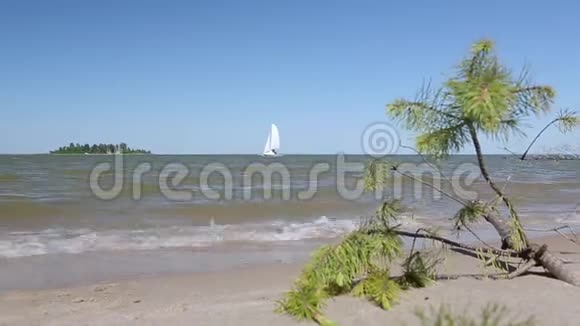卡塔马兰人乘海路进入雷加特视频的预览图