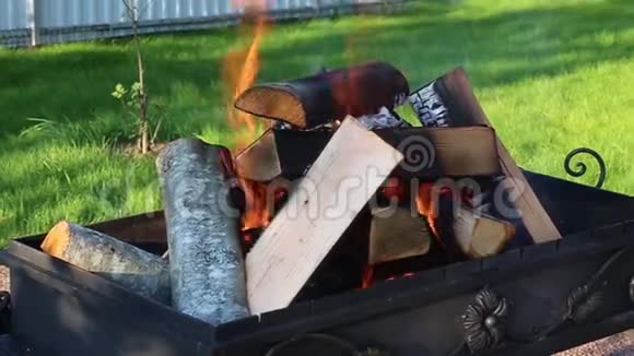 火盆烤架中烧煤的木质原木视频的预览图