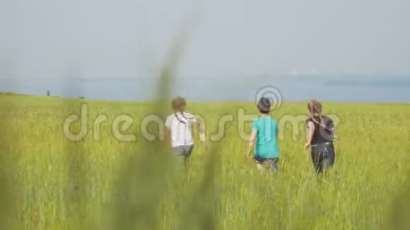 三个欢快的孩子在夏日草地上奔跑后景视频的预览图