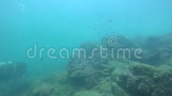 海洋中的珊瑚礁图像视频的预览图