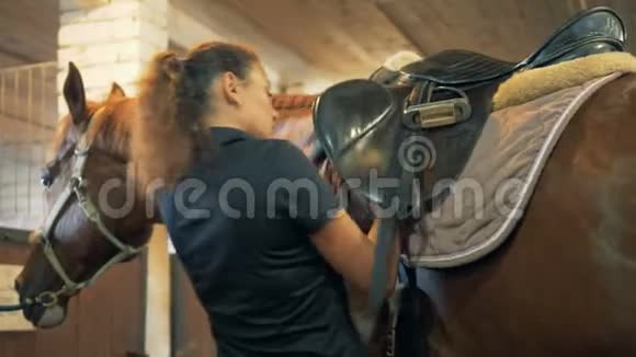 女马把腰带系在马鞍上紧紧地视频的预览图