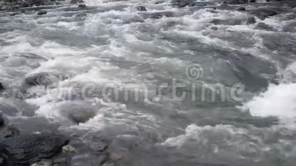 快速的河流野河溪水流流动的溪水视频的预览图