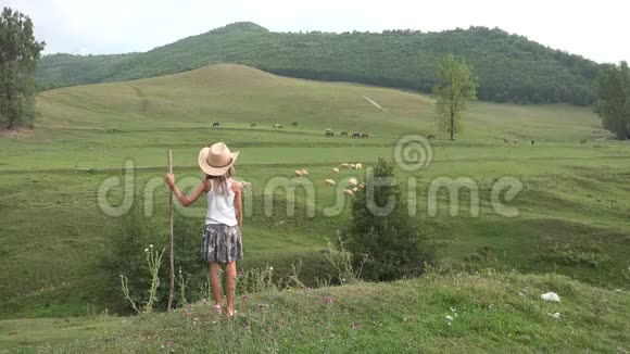 山地野羊牧童乡村女孩户外4K视频的预览图