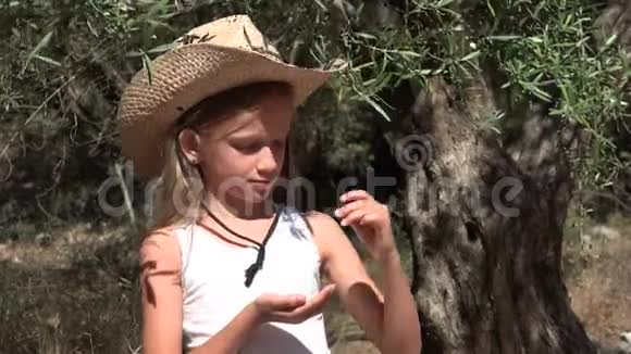 农家子弟在果园里学橄榄小女孩在树上玩耍4K视频的预览图
