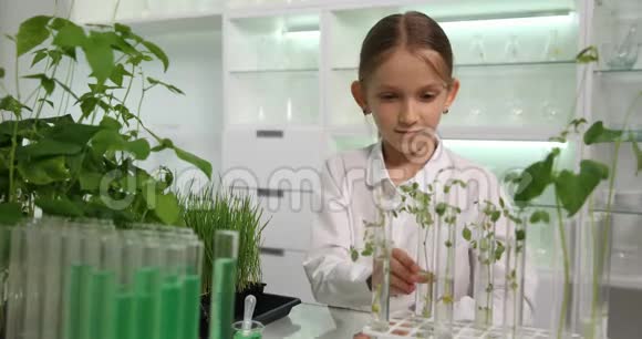 化学实验室儿童学校科学种植幼苗实验生物学4K视频的预览图