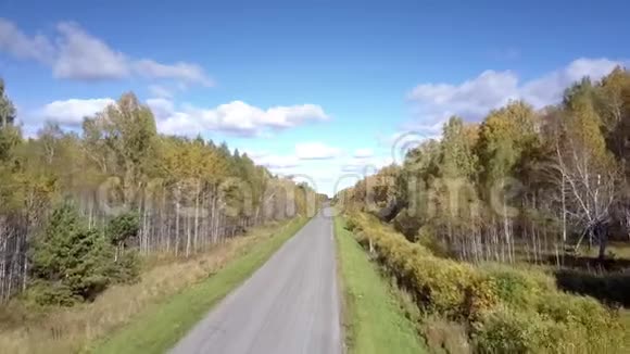 近距离飞行在白桦林中延伸的空路视频的预览图