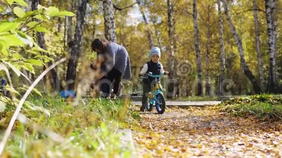秋天公园里落叶时骑自行车的快乐小男孩快乐的童年慢动作3840x2160视频的预览图
