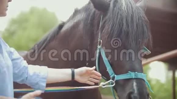在一个阳光明媚的日子里女人的马在动物农场刷马关门视频的预览图