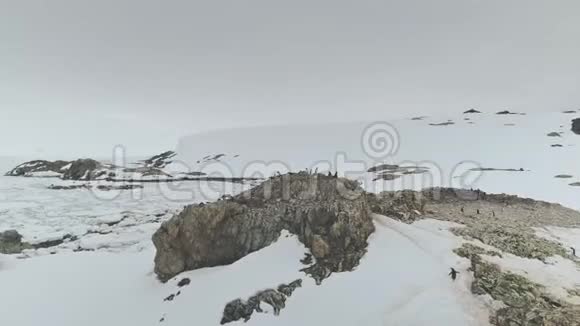 南极洲企鹅点景观鸟瞰视频的预览图