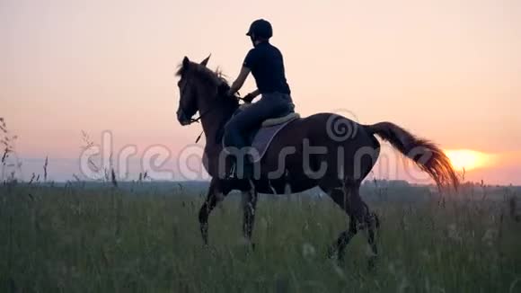 一个女人骑着马飞驰一名运动员骑着一匹马在田野里飞驰视频的预览图