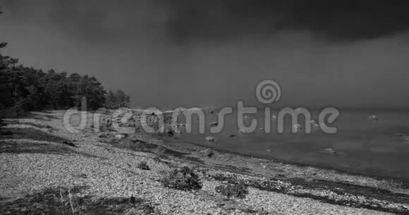 黑色和白色的时间流逝云和海洋在岩石海岸与树木视频的预览图