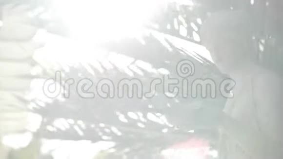 一个有棕榈叶的女人的大理石雕像视频的预览图