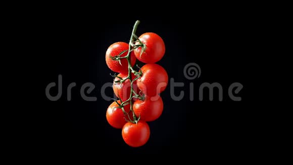 图示一串红色西红柿在黑色背景上逆时针快速旋转视频的预览图