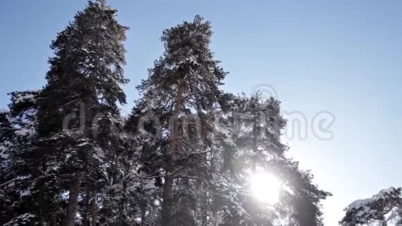雄伟的白色坩埚阳光照耀画面优美典雅的冬景位置滑雪场新年快乐视频的预览图