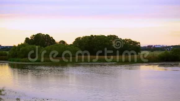 日落时从河畔看到镇上美丽的景色蓝天背景上的绿色树木和植物视频的预览图