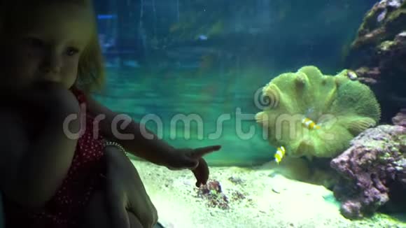 在水族馆看鱼的小女孩视频的预览图