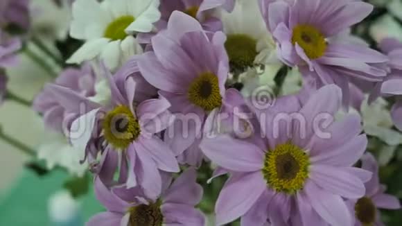 特写一束菊花配上一束浅紫色和白色的菊花相机在一个周围飞舞视频的预览图