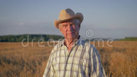 日落时分在麦田里的一个老白种人农民画像视频的预览图