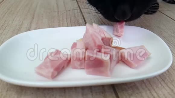 猫吃盘子里的香肠视频的预览图