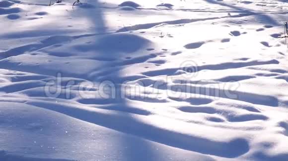 白雪背景白雪背景冬天明亮的背景季节性自然背景视频的预览图