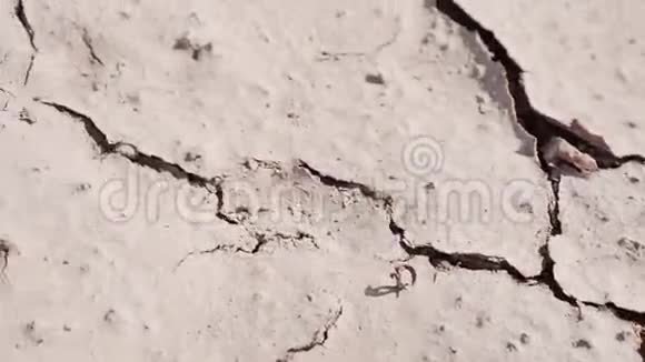 沙漠特写镜头中干燥的裂缝地球高温一片贫瘠的土地视频的预览图