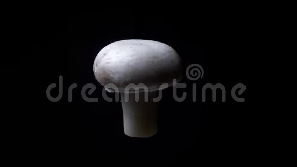 蘑菇在黑色背景下快速旋转视频的预览图