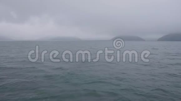 鸟瞰海水多云天际线上的岛屿和漂浮在水中的海鸟视频的预览图