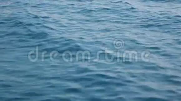 蓝泳池清水波涟漪的背景视频的预览图